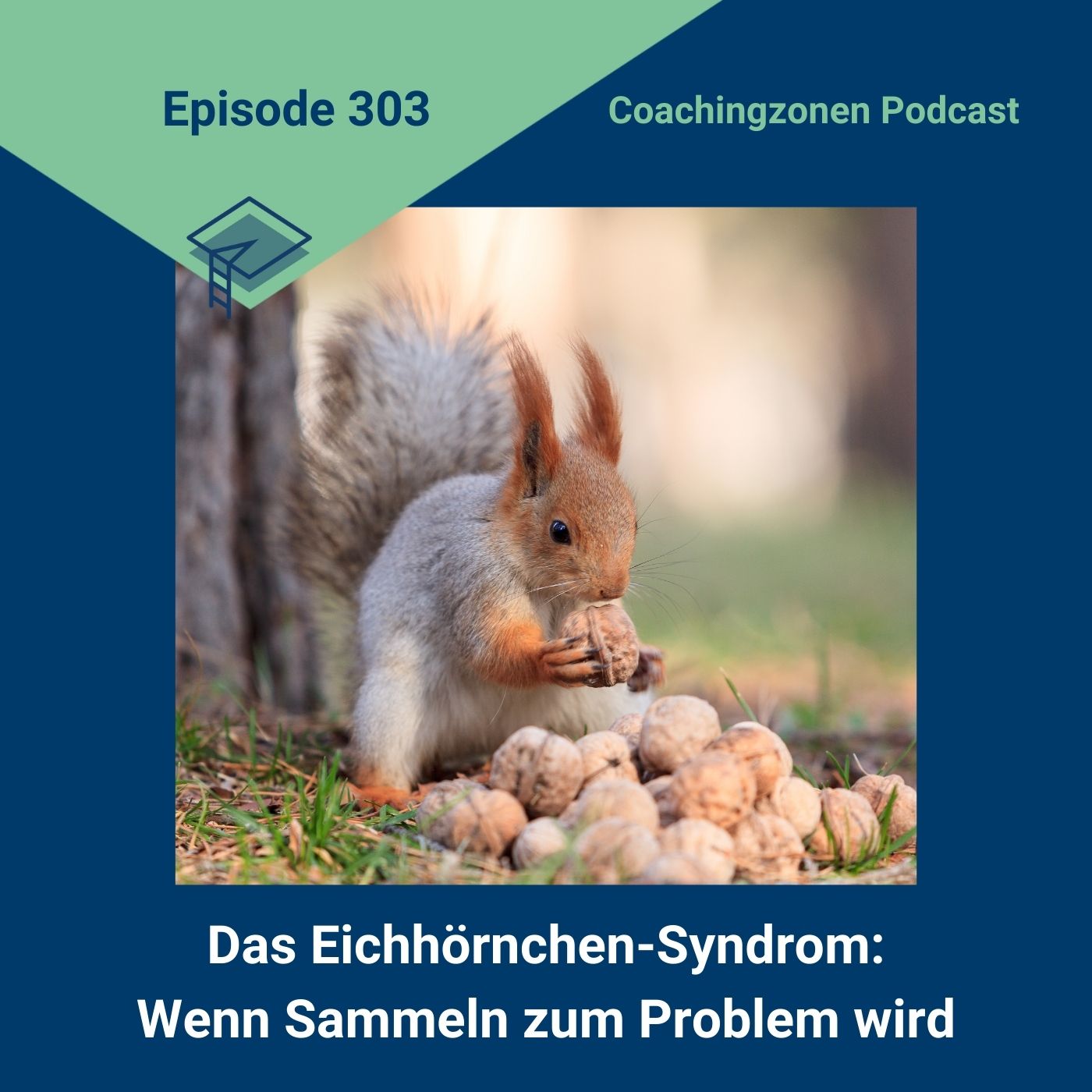 Das Eichhoernchen Syndrom Wenn Sammeln in der Promotion zum Problem wird